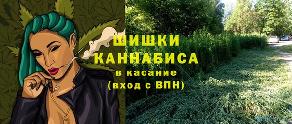 мдпв Краснослободск
