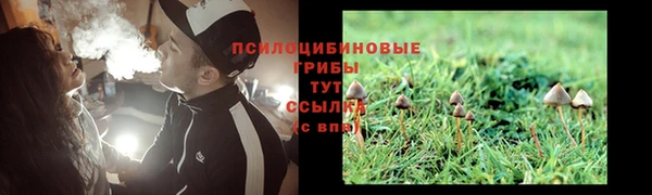 эйфоретик Краснотурьинск