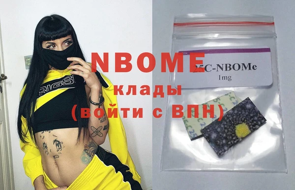 мдпв Краснослободск