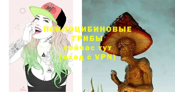 эйфоретик Краснотурьинск