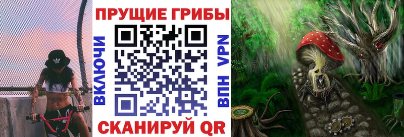 Купить где Змеиногорск Псилоцибиновые грибы GOLDEN TEACHER